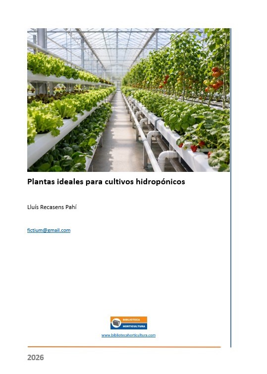 Plantas ideales para cultivos hidropónicos